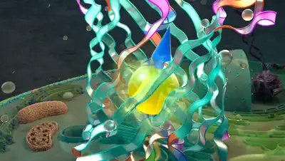 Bilim insanları floresan bir proteinden biyolojik kuantum biti üretti